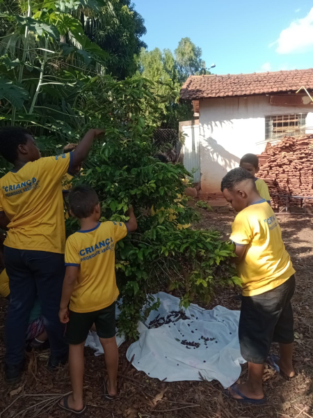 Imagem JPG, Indisponível